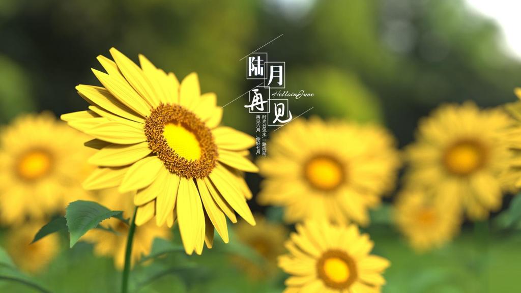 关于六月再见最好的朋友圈说说