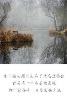 唯美汪国真诗词文字锁屏-1