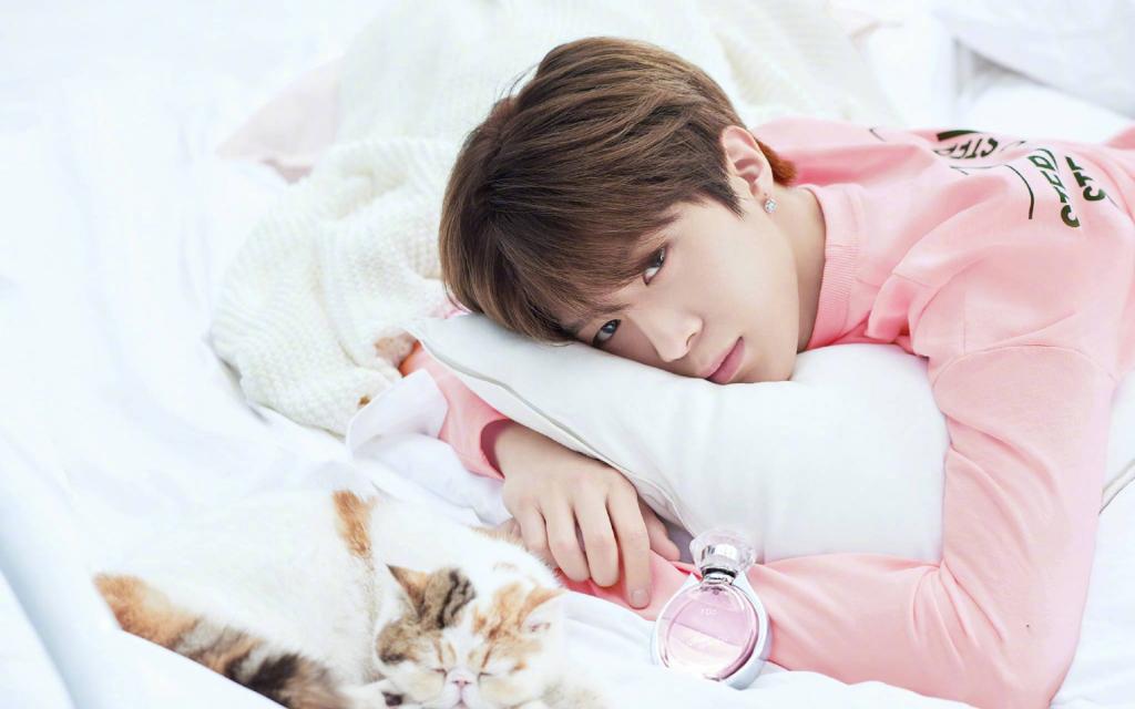 新晋偶像陈立农