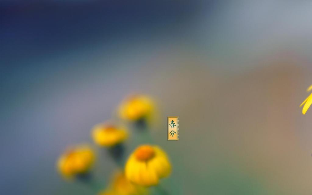 最美丽的24时节春分