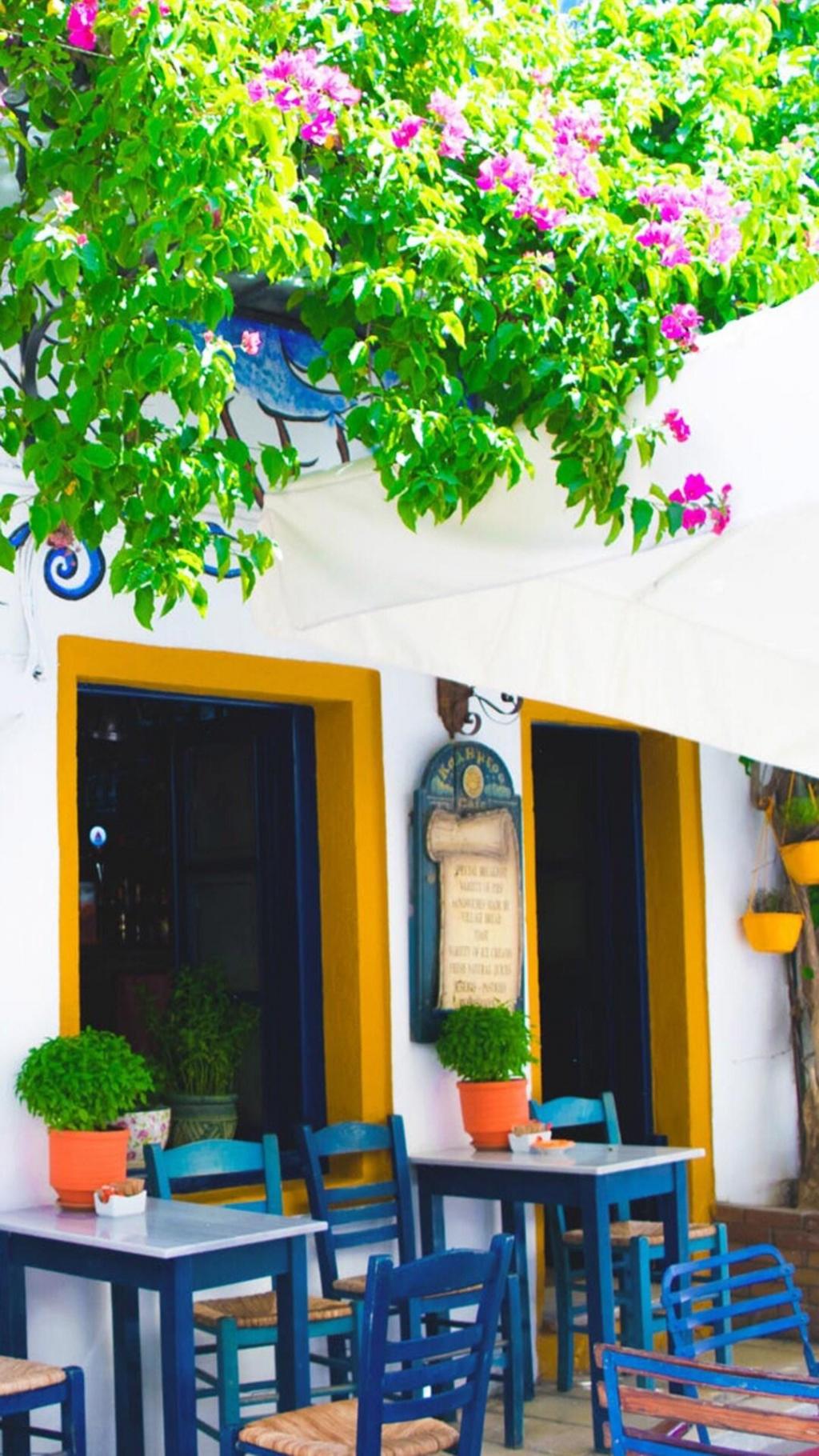 小清新文艺店铺摄影