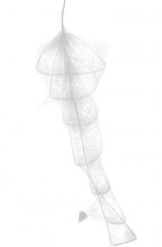 冷淡系列涂鸦-2