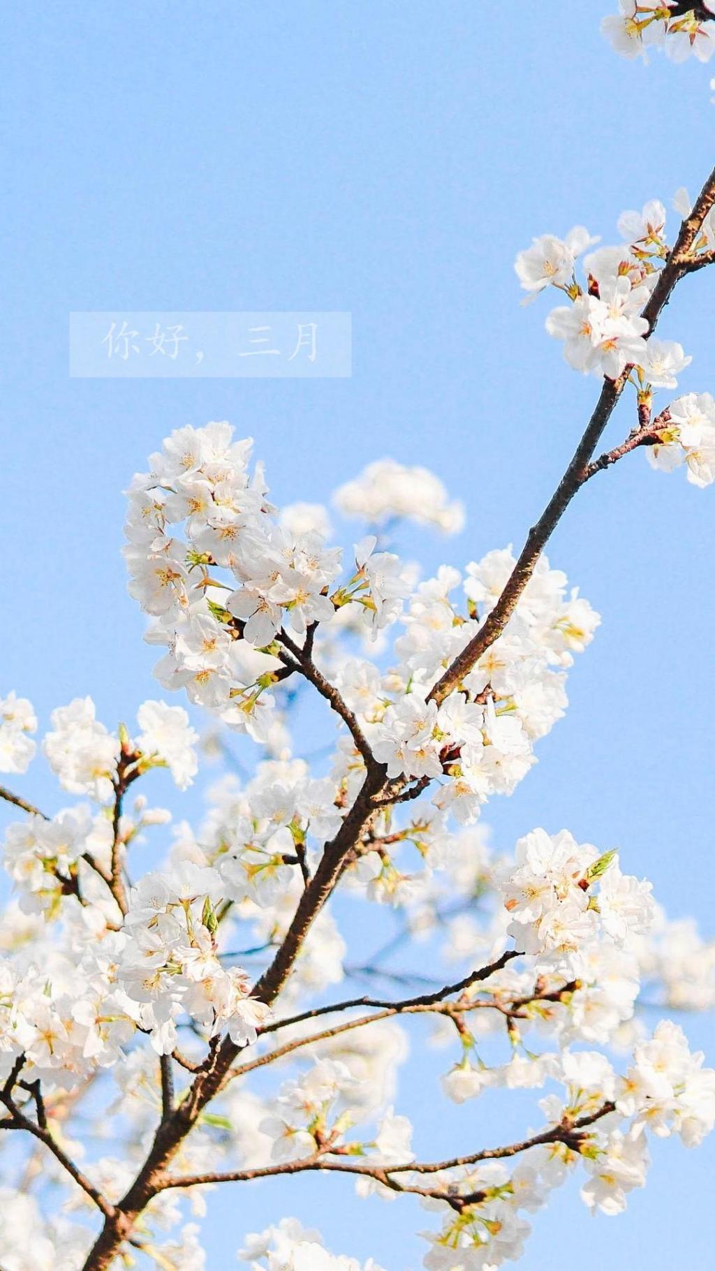 温柔的三月你好