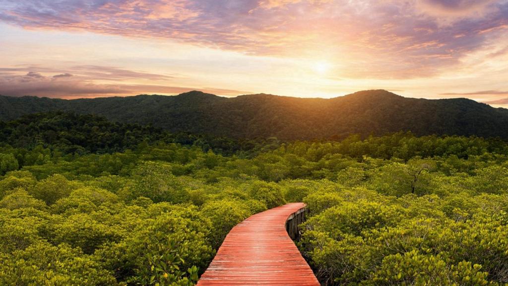 秀丽唯美大自然风景意境写真