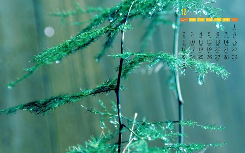 2018年12月绿色护眼植物日历