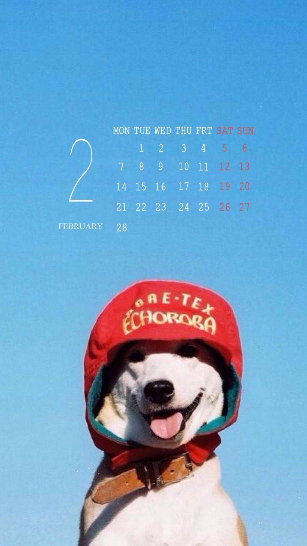 可爱萌宠2月份日历