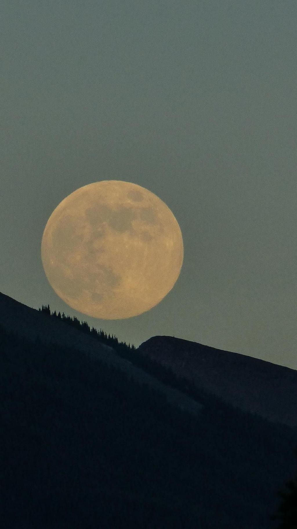 中秋佳节浪漫唯美梦幻圆月