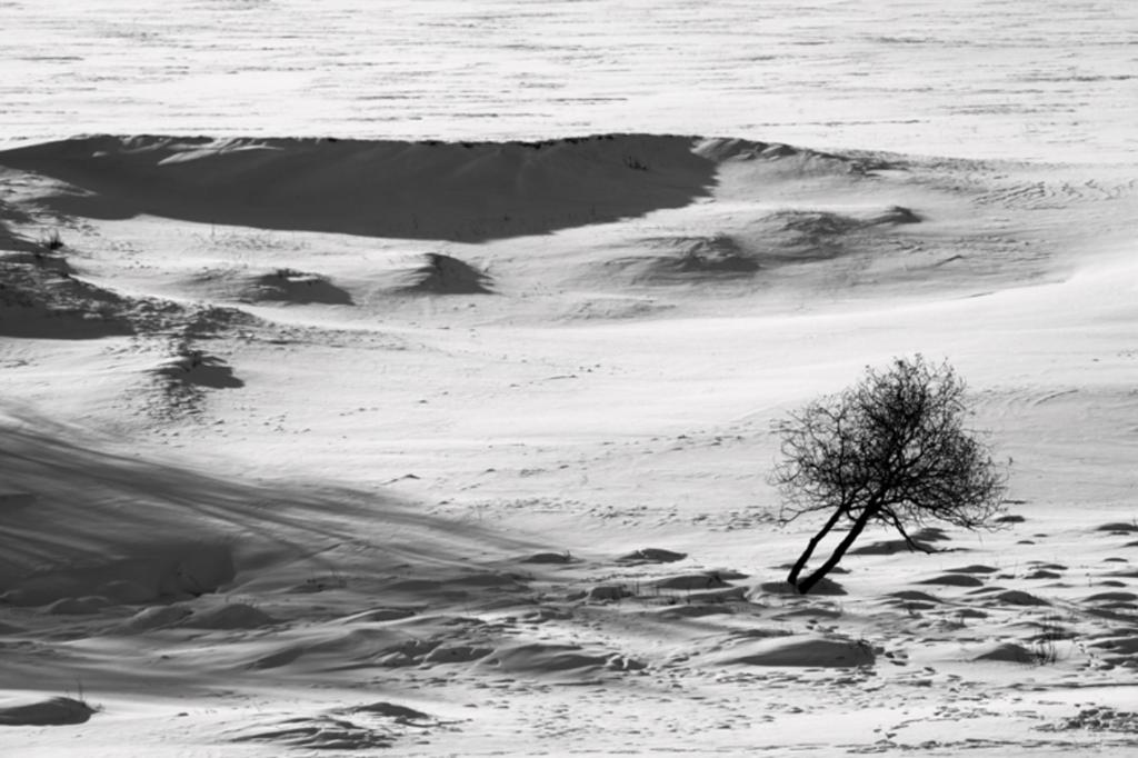 坝上雪原唯美迷人冬日风光