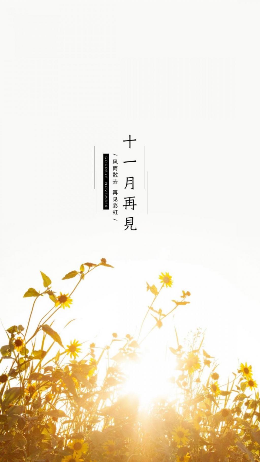 十一月最后一天再见