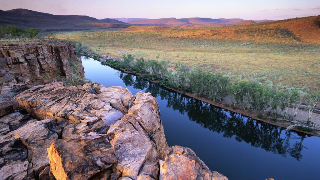 清新护眼的风景