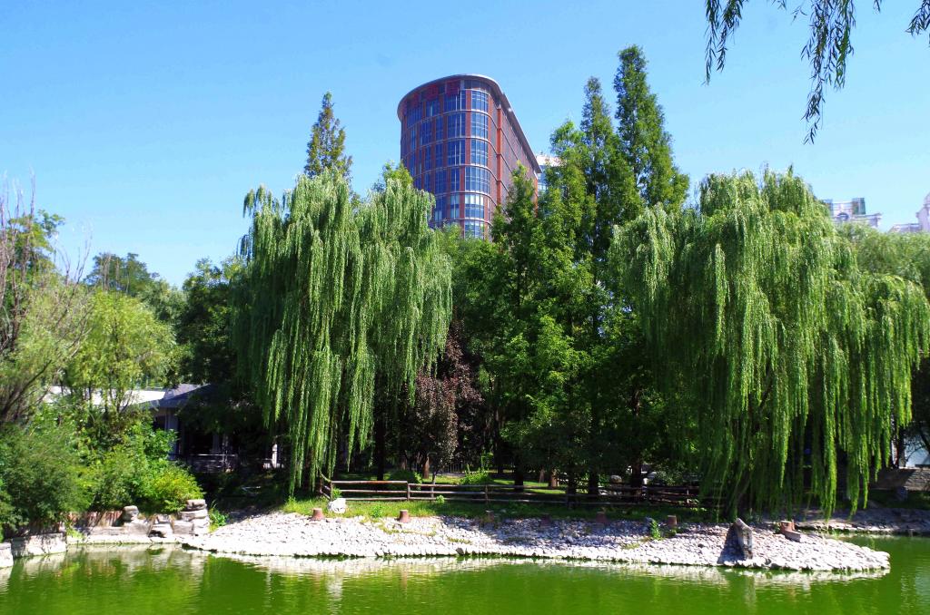 北京丽都公园