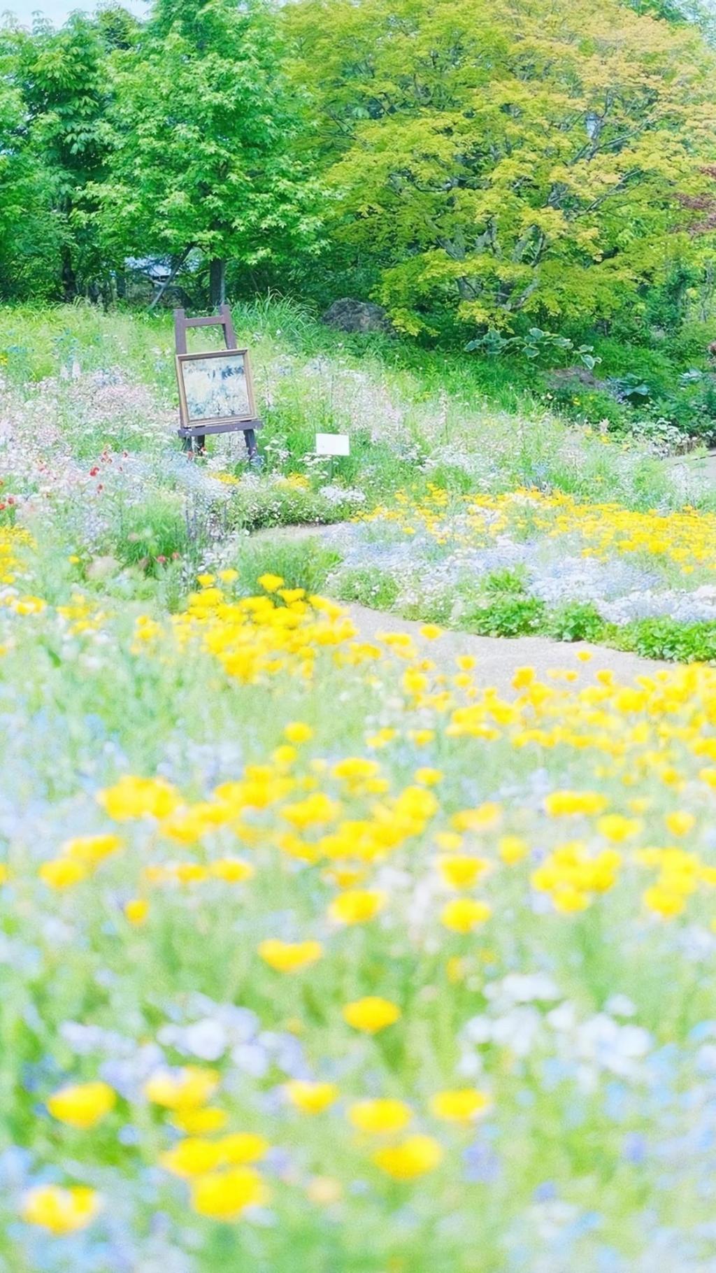 户外清新迷人花卉