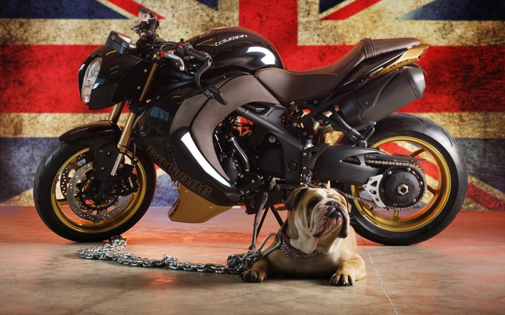 Vliner Bulldog定制版摩托车