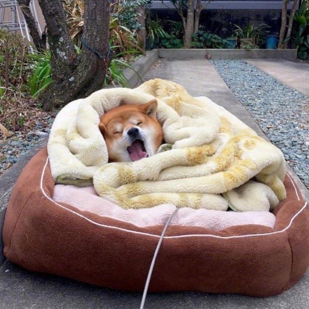 应该规定冬天禁止起床