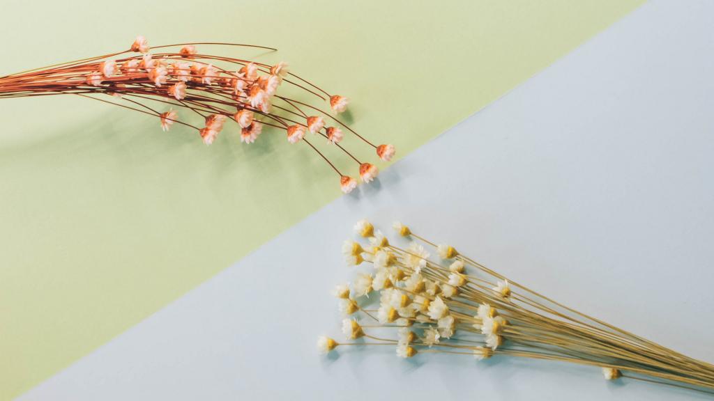 温馨的干花背景