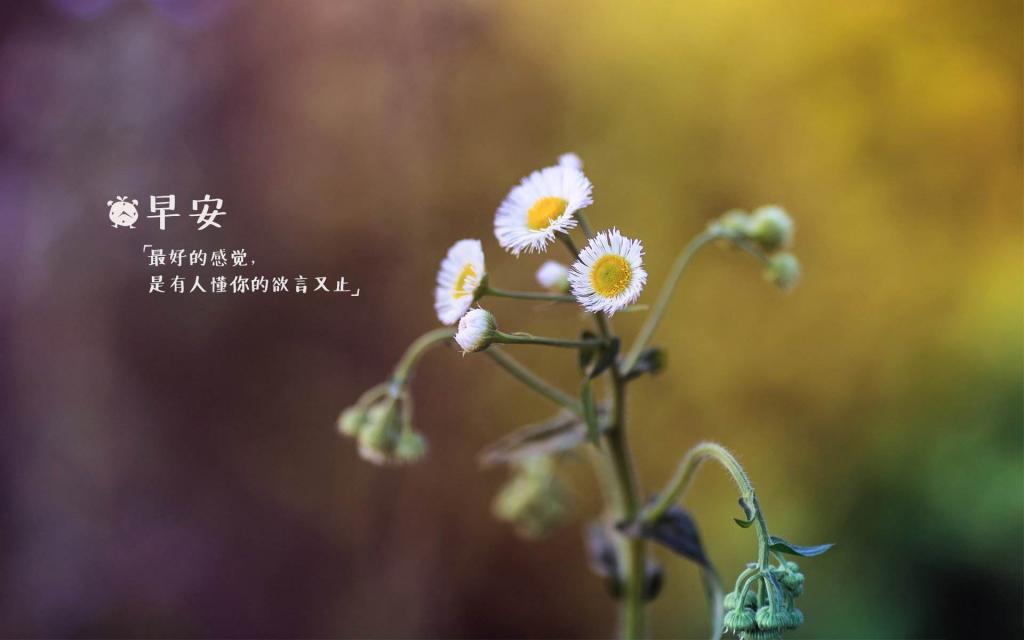 适合微商发的早安心语