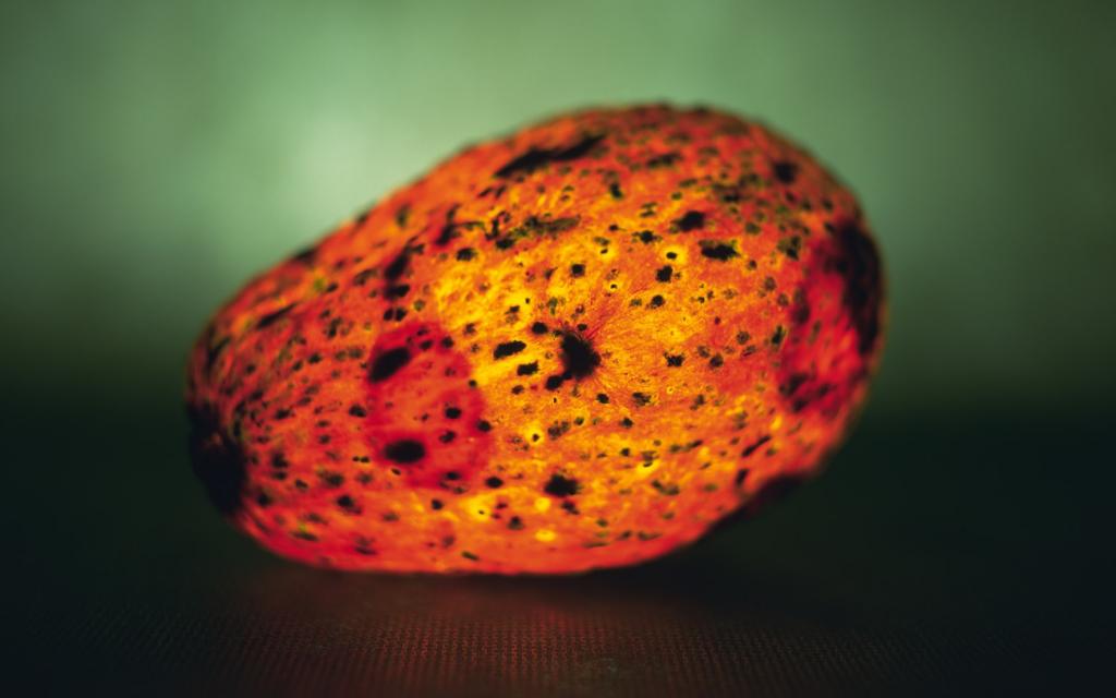 发光的水果特写