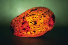 发光的水果特写