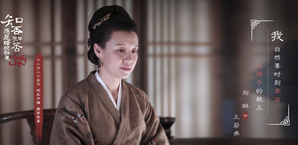 电视剧《知否知否应是绿肥红瘦》经典人物