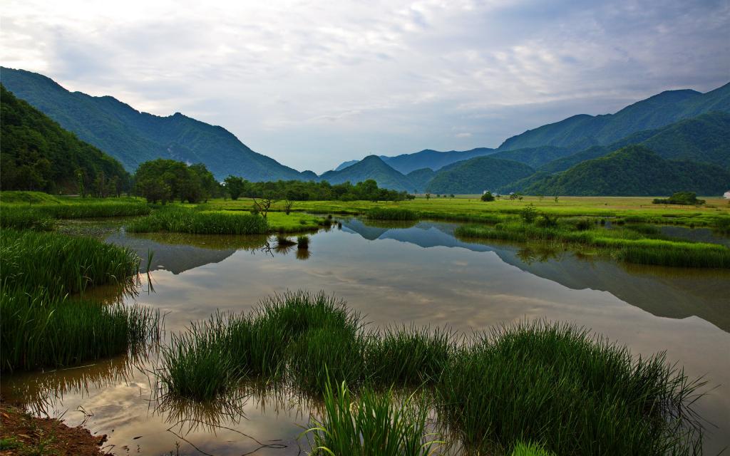 神农架大九湖国家湿地公园