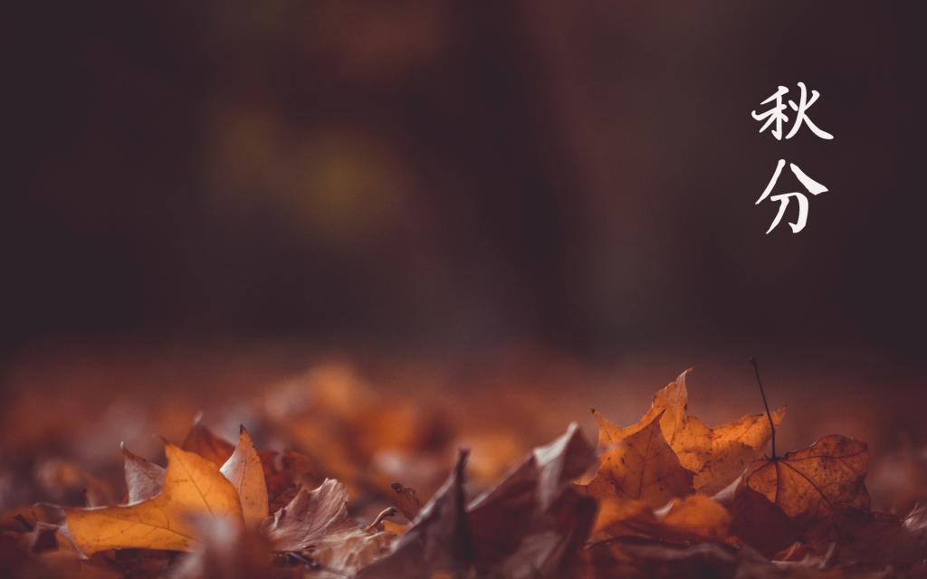 凉凉秋分送关怀