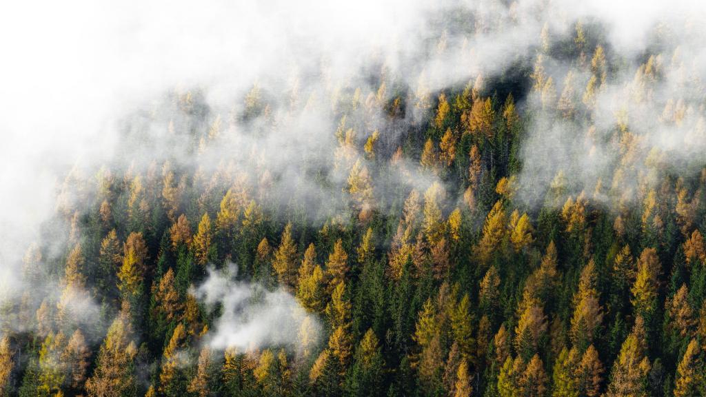 雾漫仙境的感觉