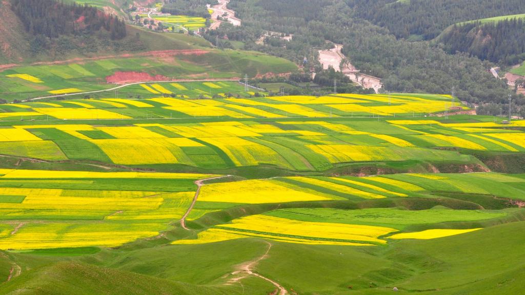 青海卓尔山风景
