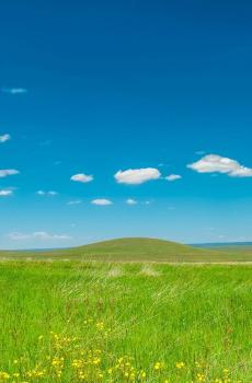 养眼蓝天白云草原风光-8