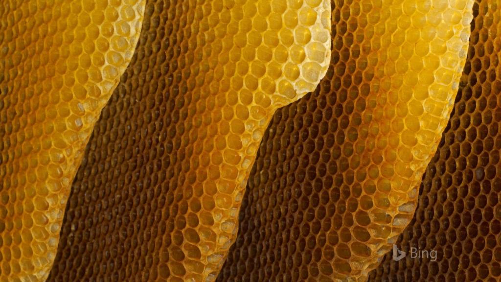 2018年Bing官方主题风景