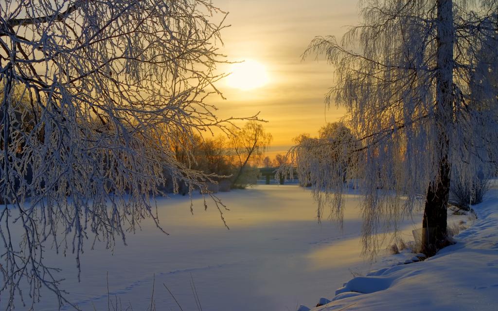 瑞典的冬天日落美景