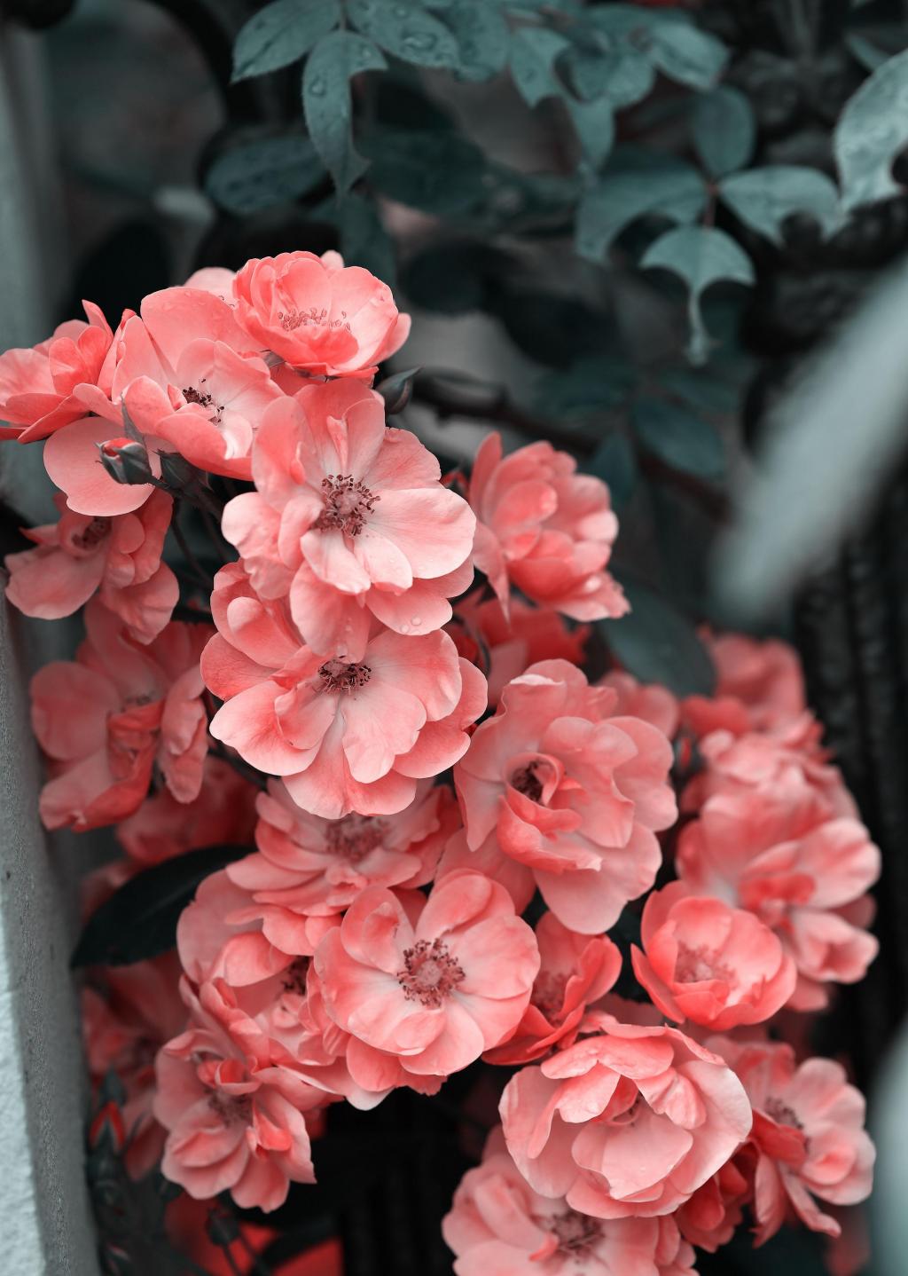 清新迷人的ppt背景图