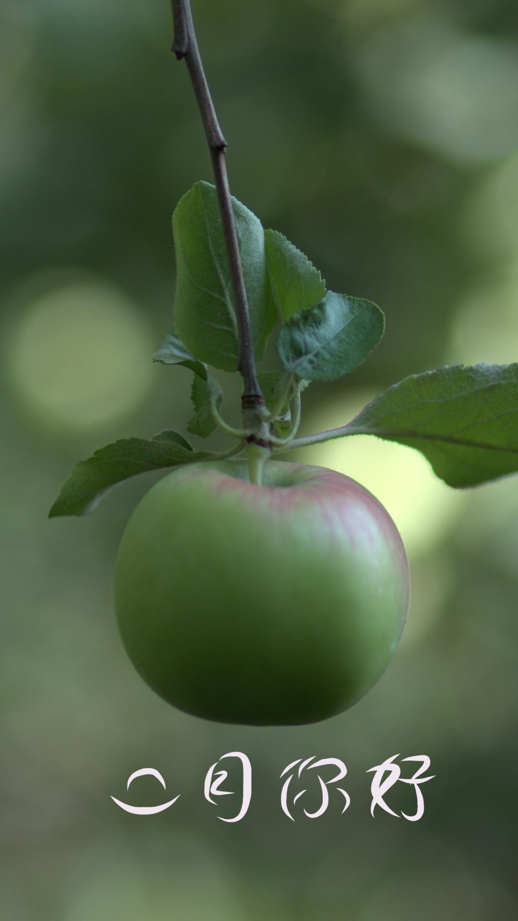 二月,一起迎接春天