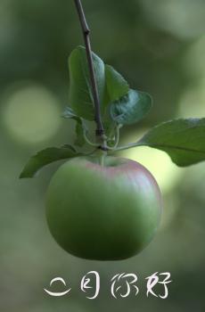 二月,一起迎接春天-5