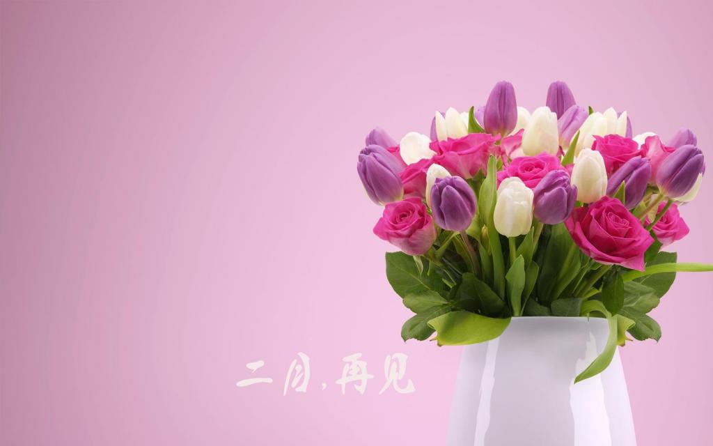 时光匆匆,二月再见