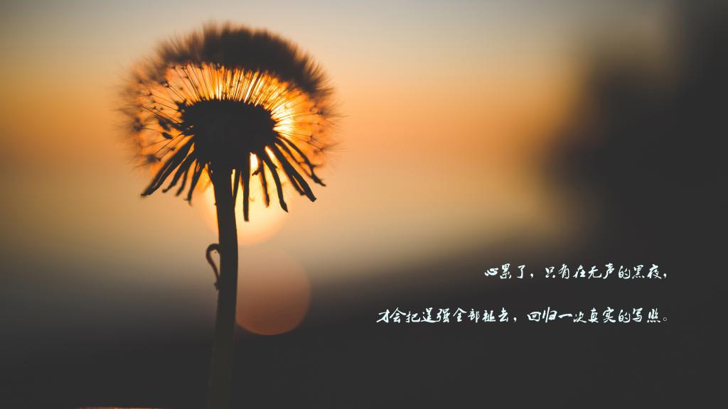 一个人心很累的文艺伤感句子图片