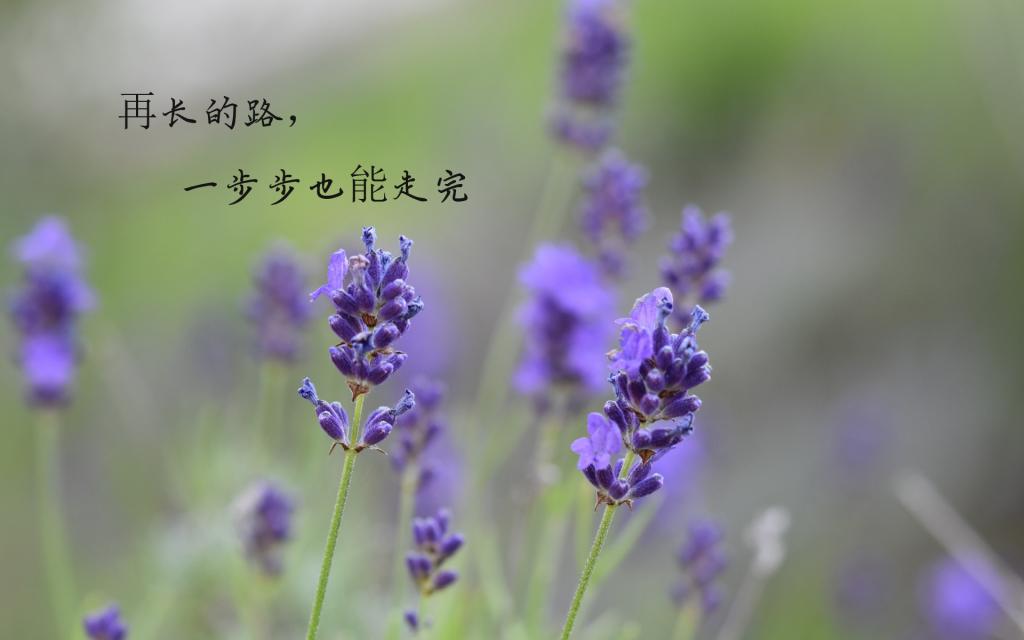 励志心语说说配图