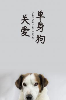 今天是光棍节-3