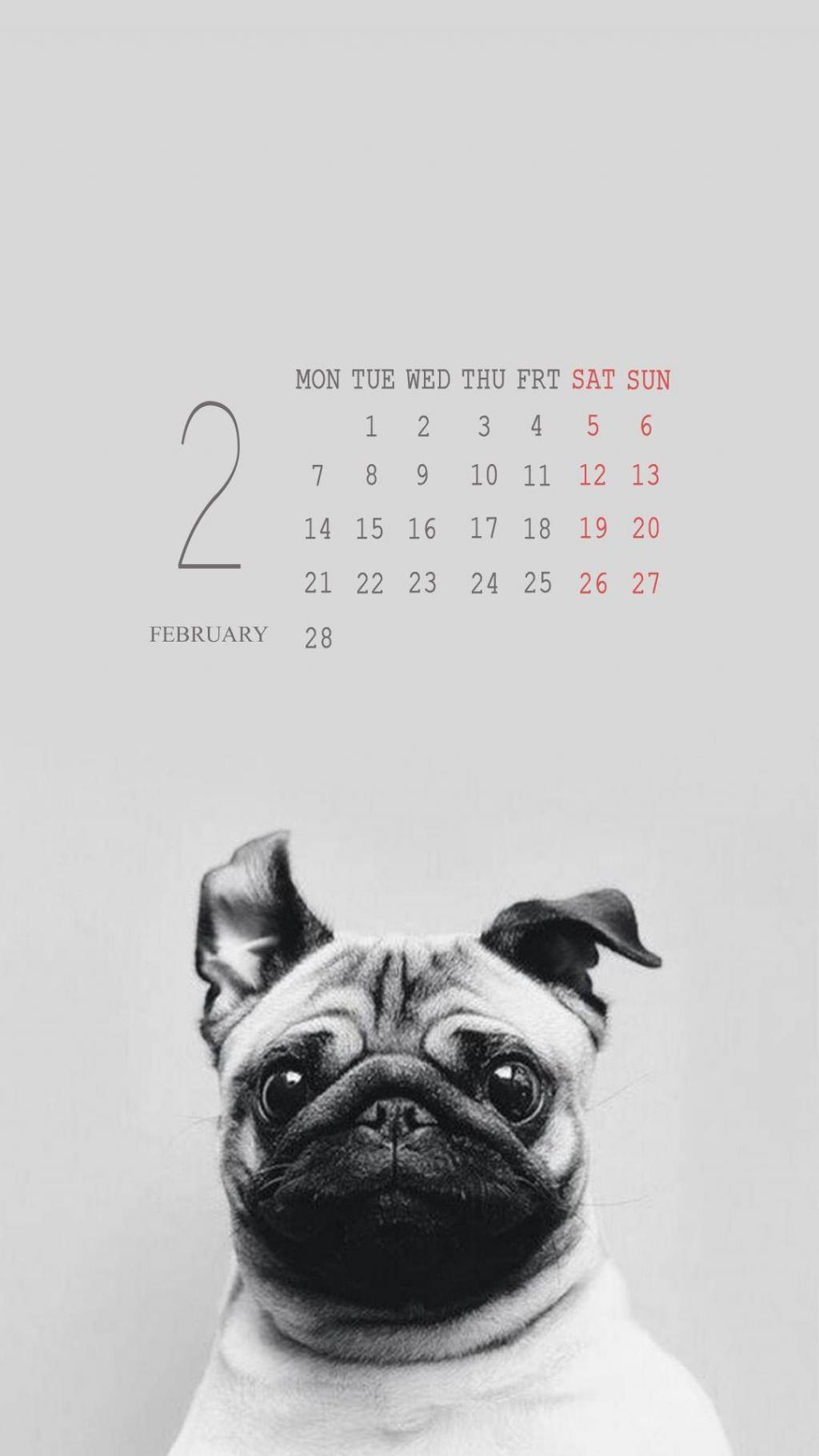 可爱萌宠2月份日历