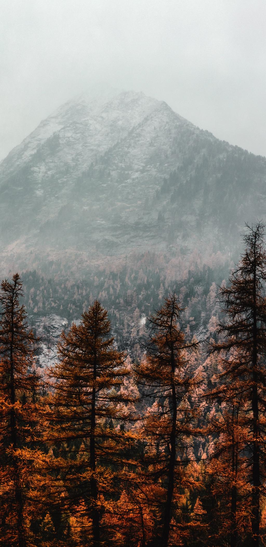 深秋时节的景色