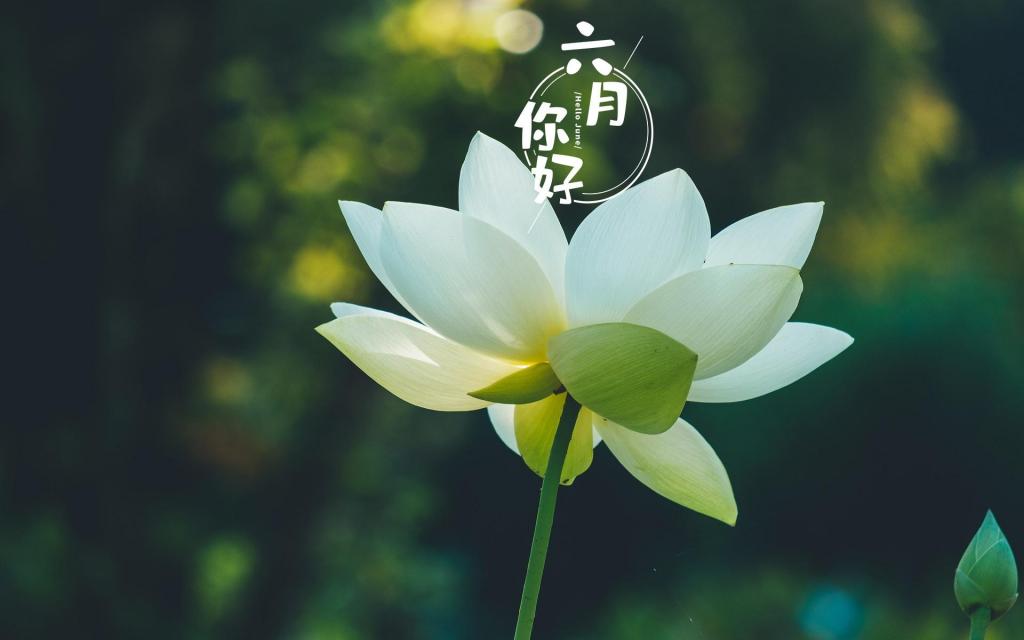 朋友圈六月你好暖心励志文案（新版）