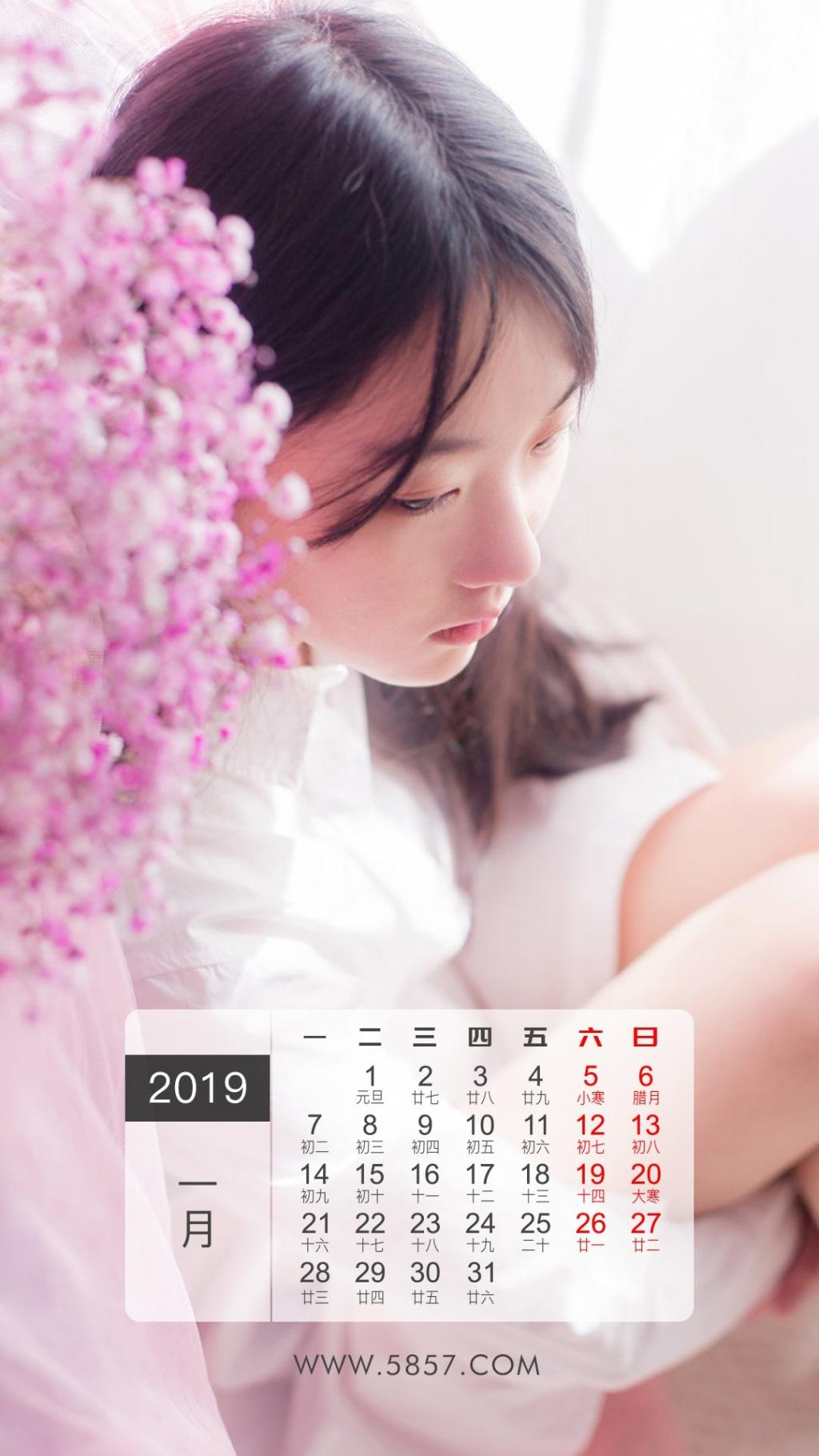 2019年1月治愈系清纯美女日历