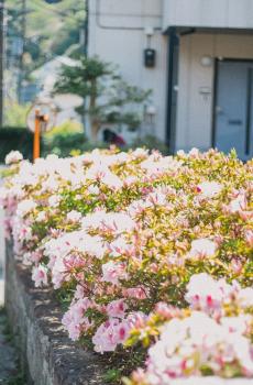 日系风唯美小镇-4