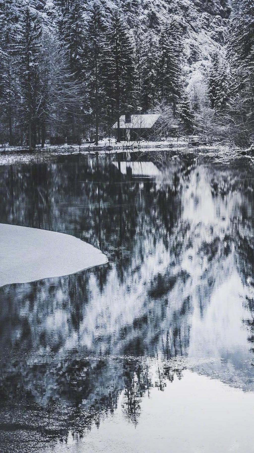 深山冰雪，在凛冽中芳华盛开