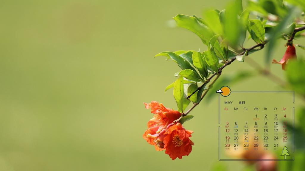 2019年5月艳红似火的石榴花日历
