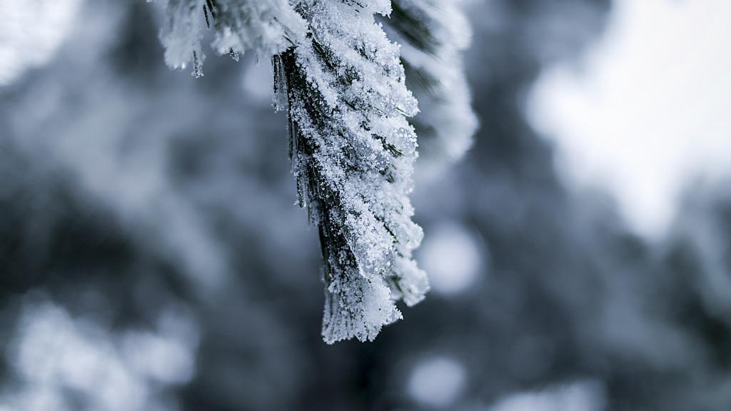 张家界袁家界雪景摄影