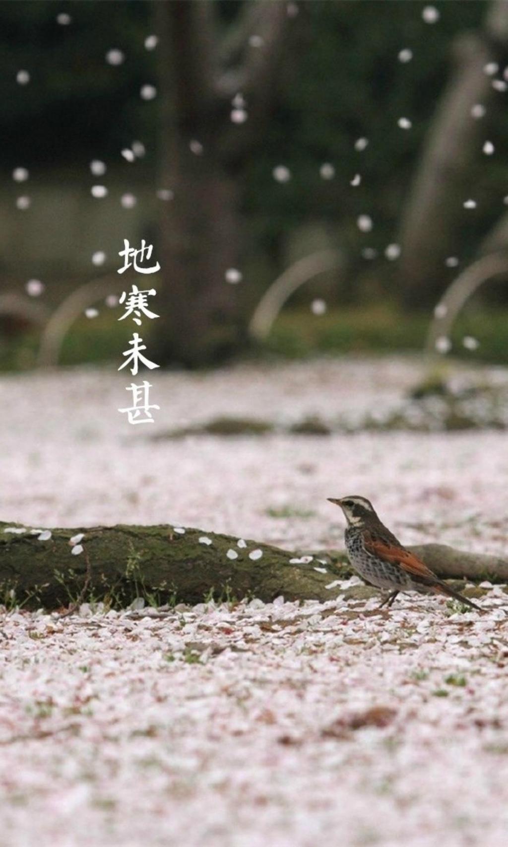 小雪时节至