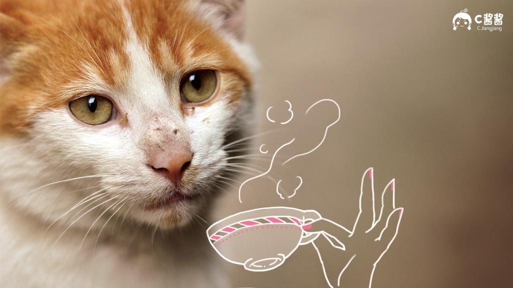恶搞喵星人(猫咪)