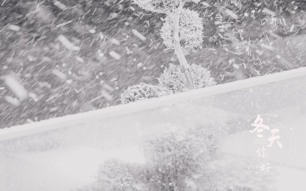 冬天你好优美迷人雪景意境