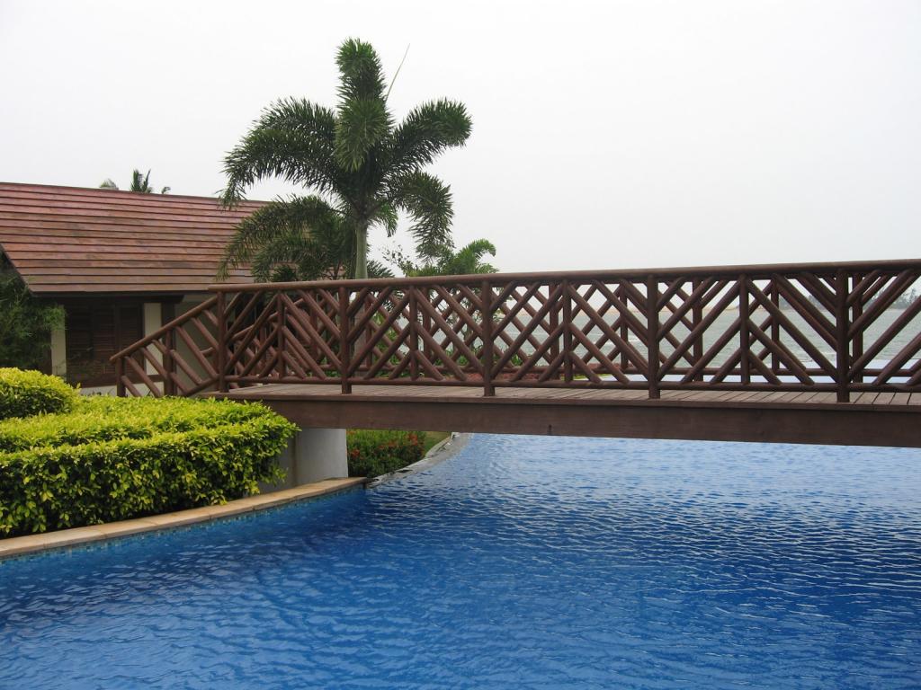 博鳌风光椰子树