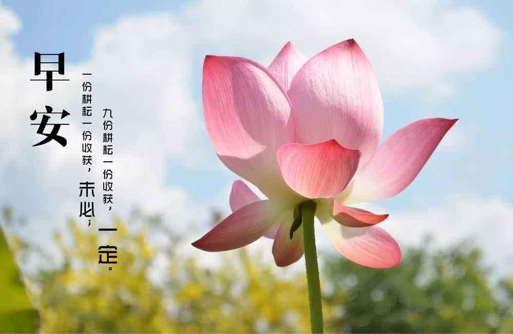 早安心语优美的语句